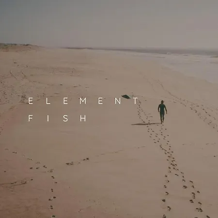 Elementfish * Esposende