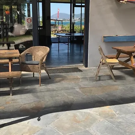 Elementfish Hostel