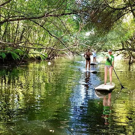 Hostel Elementfish Εσποσέντε