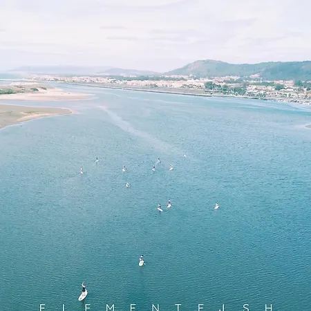 Elementfish Εσποσέντε
